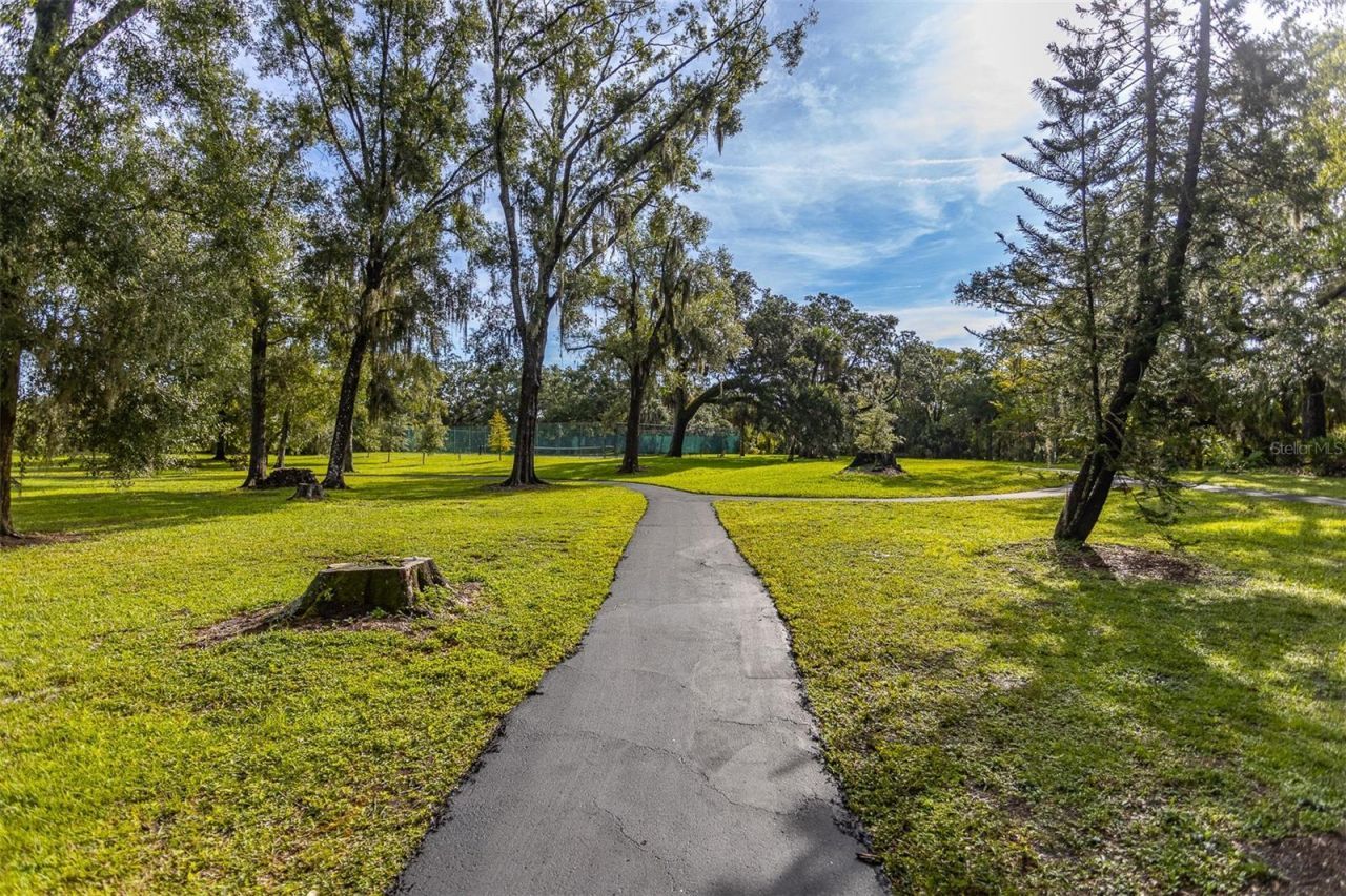 11508 Robles Del Rio Place, Temple Terrace, FL 33617 Photo