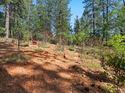 10128 Howe Ave, Grass Valley, CA 95949 Photo
