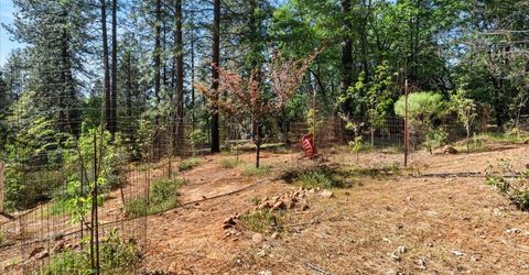 10128 Howe Ave, Grass Valley, CA 95949 Photo