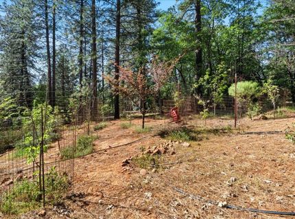 10128 Howe Ave, Grass Valley, CA 95949 Photo