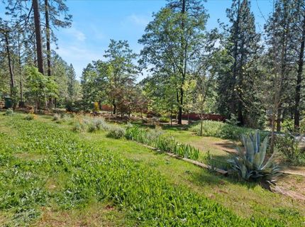 10128 Howe Ave, Grass Valley, CA 95949 Photo