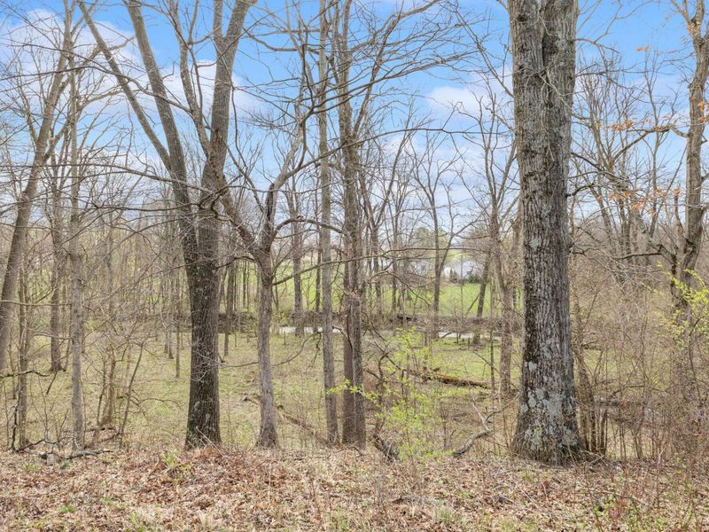 2420 Buttercup Court, Sunbury, OH 43074 Photo 73