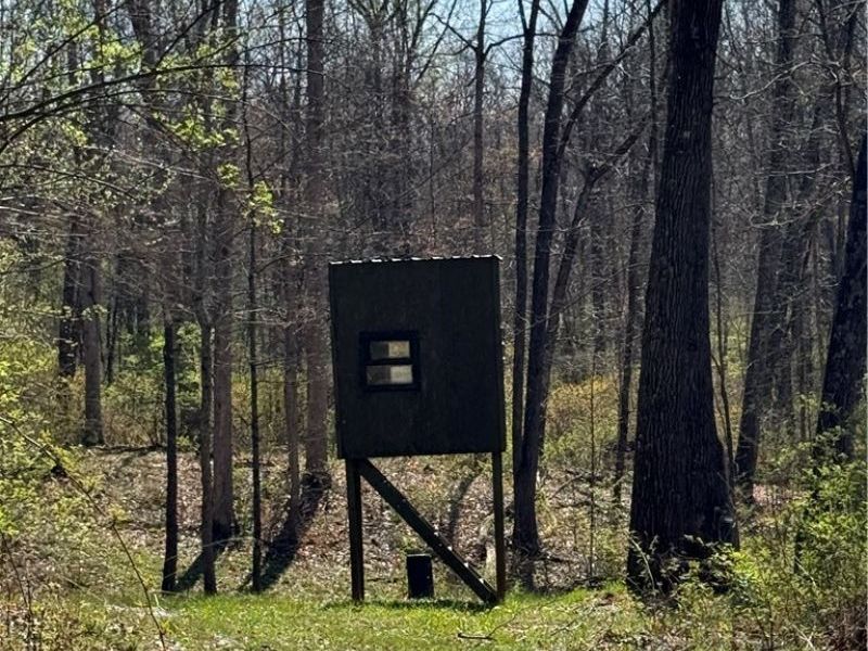 8902 N State Route 78, Caldwell, OH 43724 Photo 22