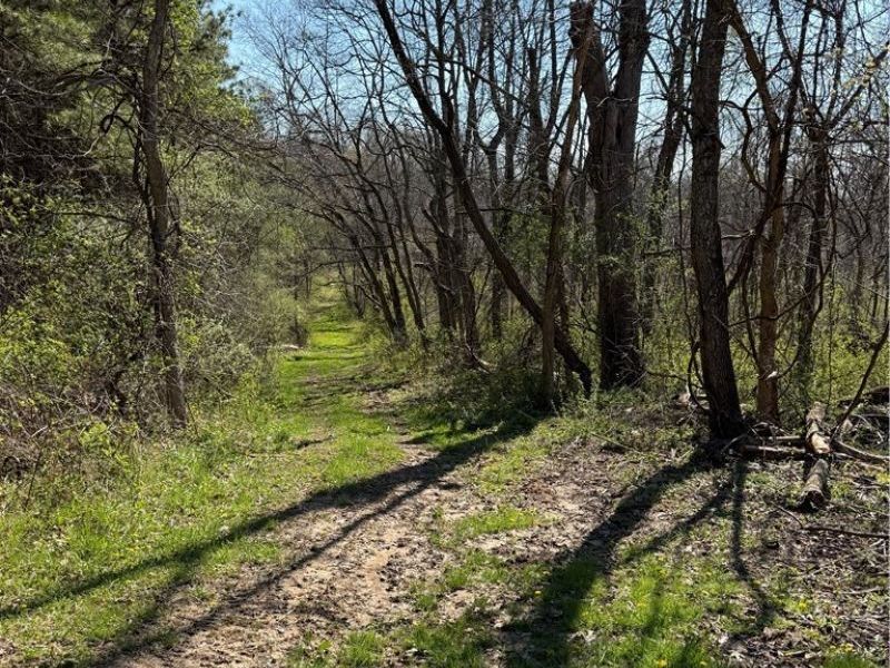 8902 N State Route 78, Caldwell, OH 43724 Photo 24