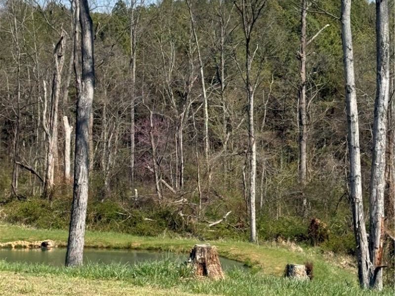 8902 N State Route 78, Caldwell, OH 43724 Photo 32