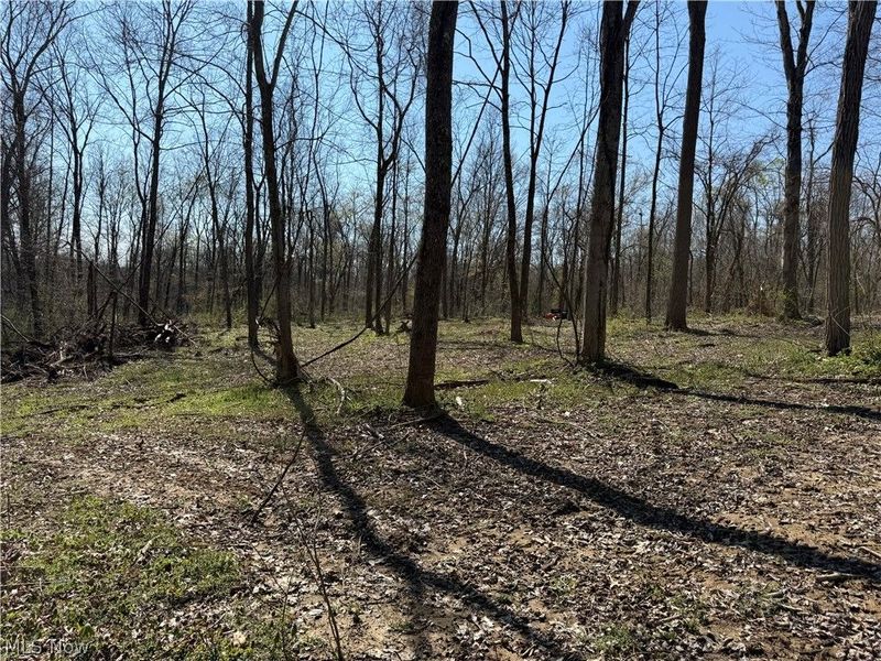 8902 N State Route 78, Caldwell, OH 43724 Photo 33