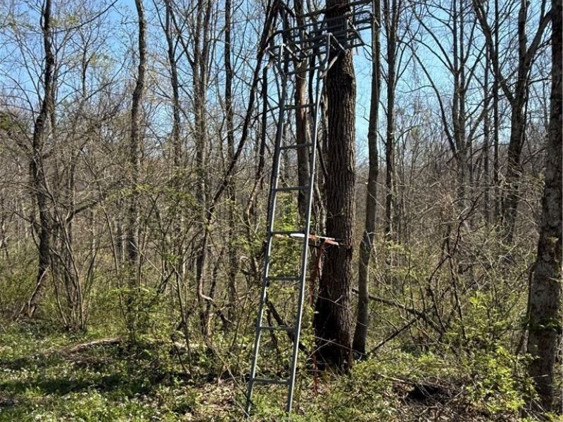 8902 N State Route 78, Caldwell, OH 43724 Photo 34