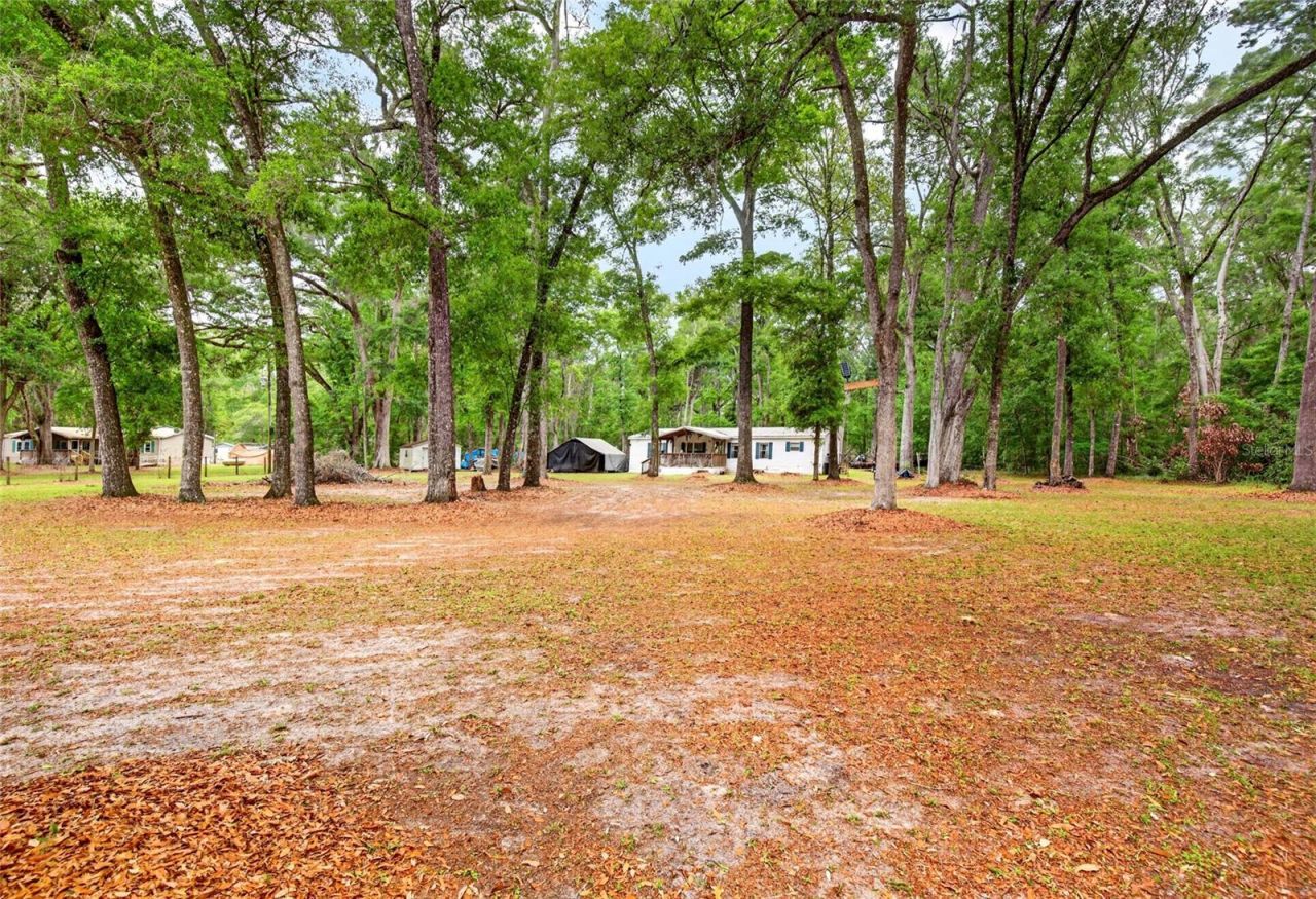 1502 NE 644th Street , Old Town, FL 32680 Photo