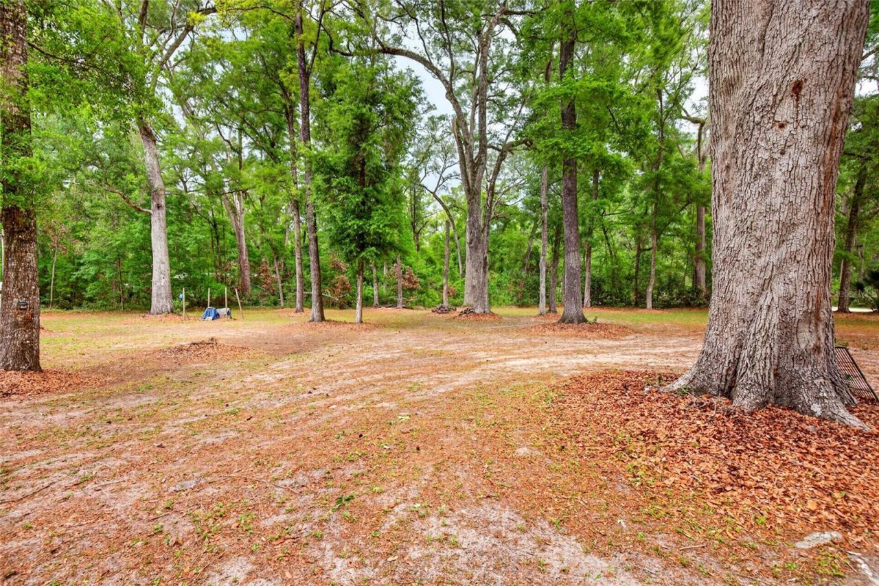 1502 NE 644th Street , Old Town, FL 32680 Photo