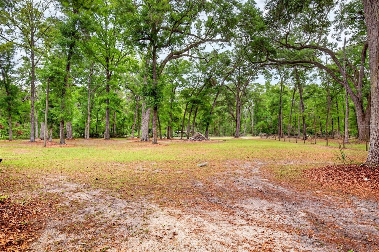 1502 NE 644th Street , Old Town, FL 32680 Photo