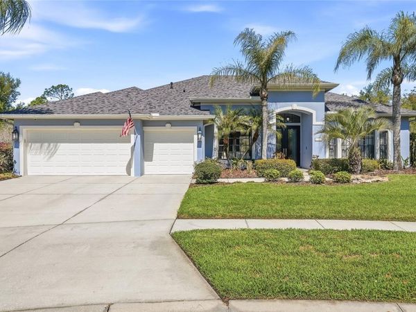 7101 HATPIN LOOP , WESLEY CHAPEL, FL 33545