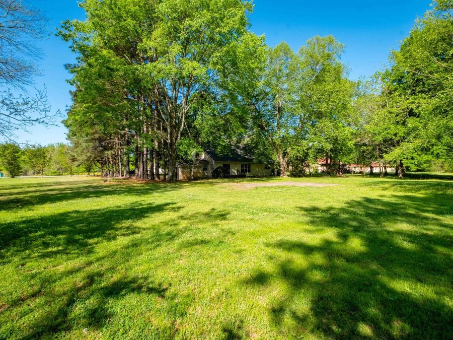Property Image 47