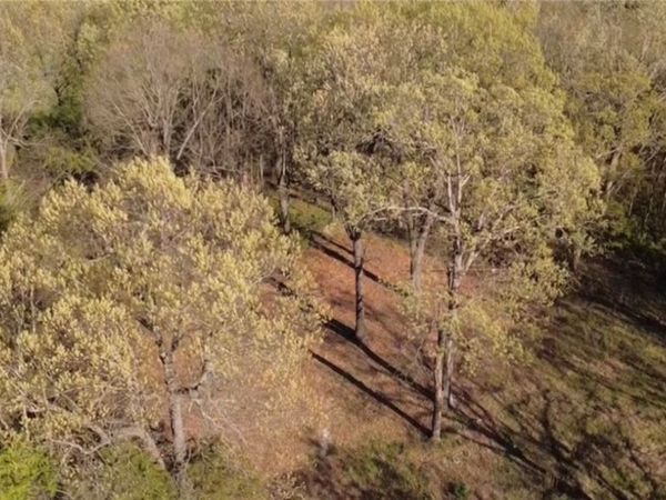 367 County Road 621, Green Forest, AR 72638