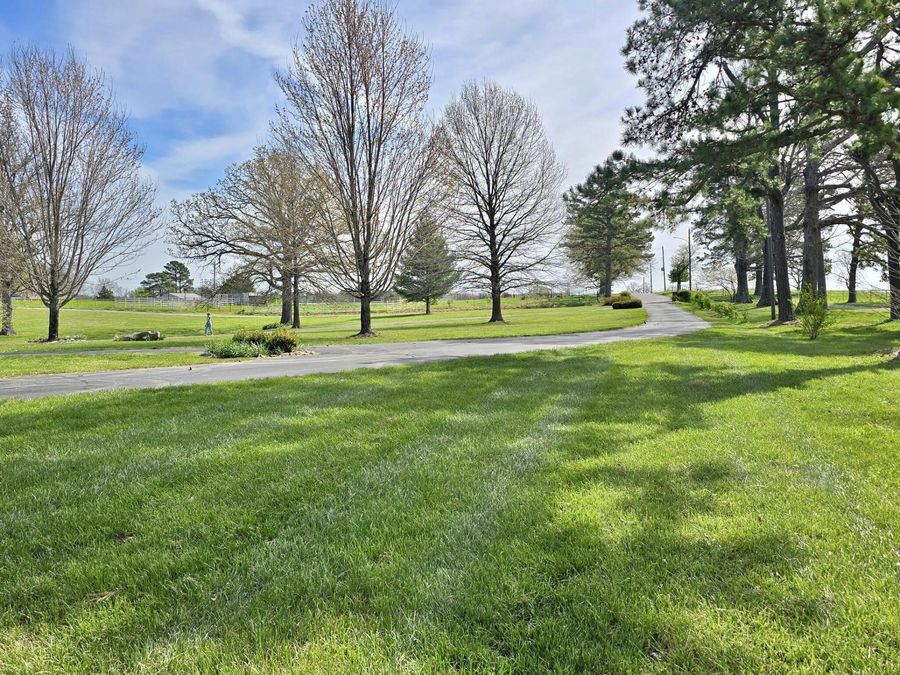 Property Image 65