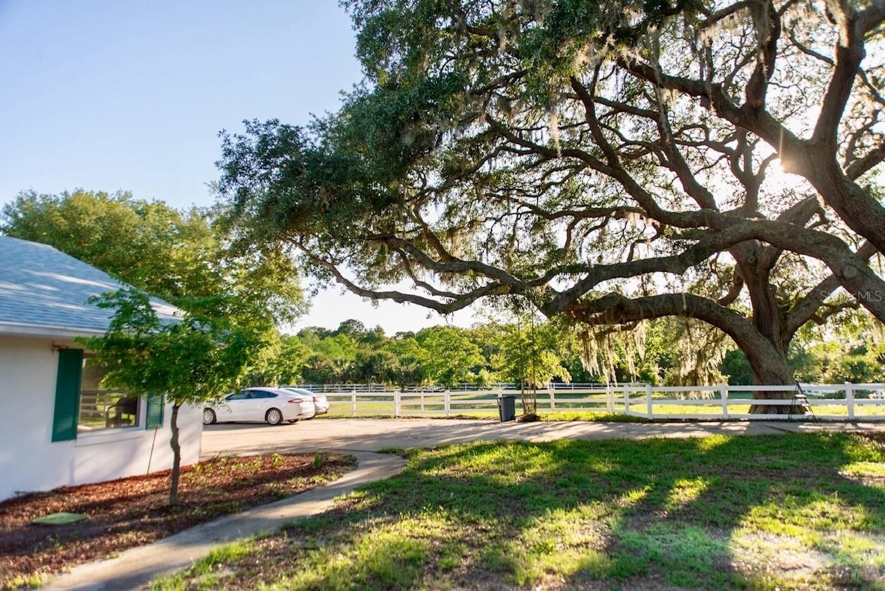 315 Lazy Acres Lane, Longwood, FL 32750 Photo