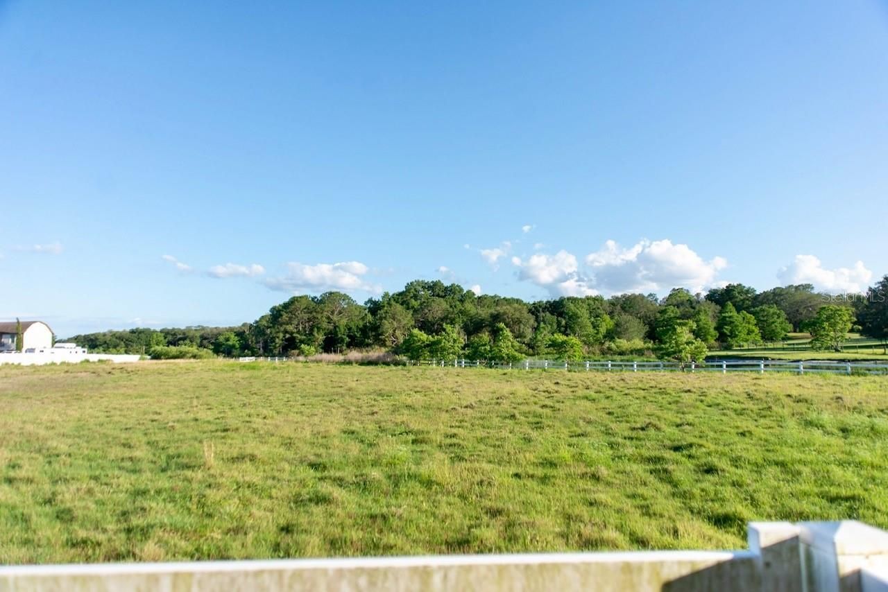 315 Lazy Acres Lane, Longwood, FL 32750 Photo