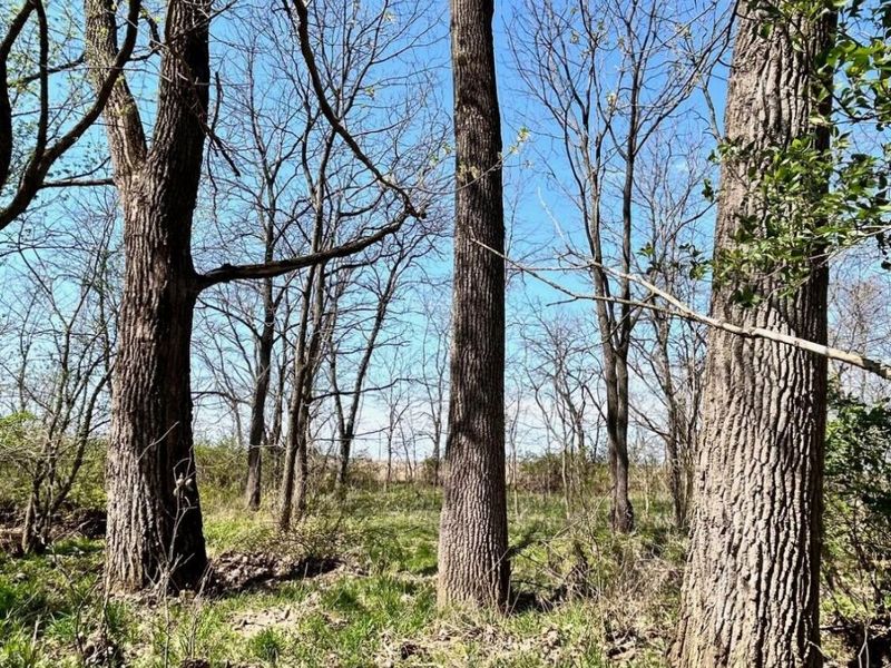 0 Sitterley Road NW, Unit Tract 1, Carroll, OH 43112 Photo 6