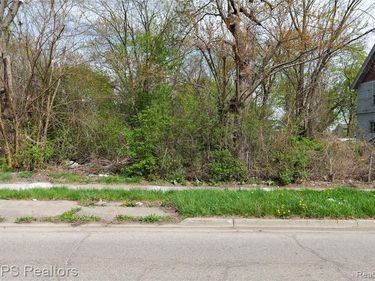 61 S South Paddock Street, Pontiac, MI 48342