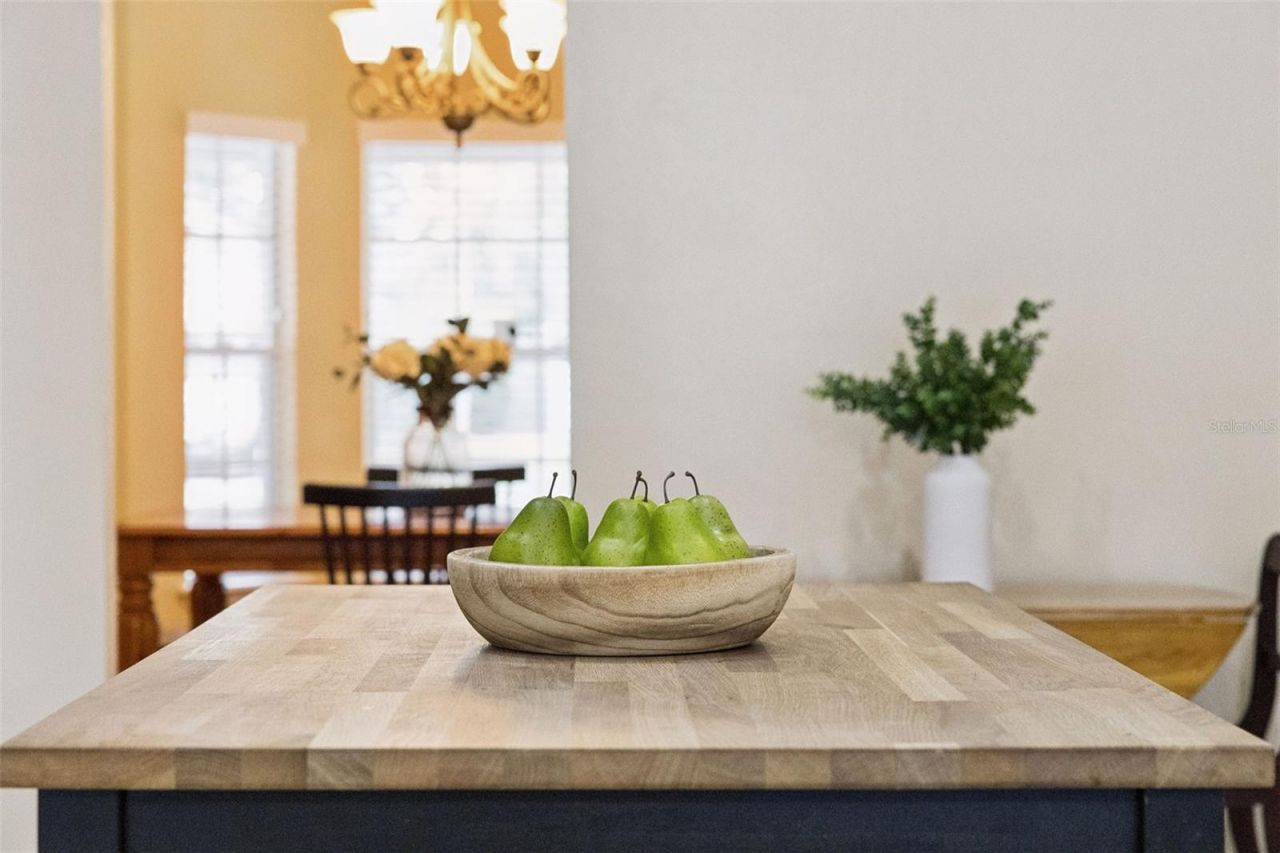 1035 Chase Drive , Winter Garden, FL 34787 Photo