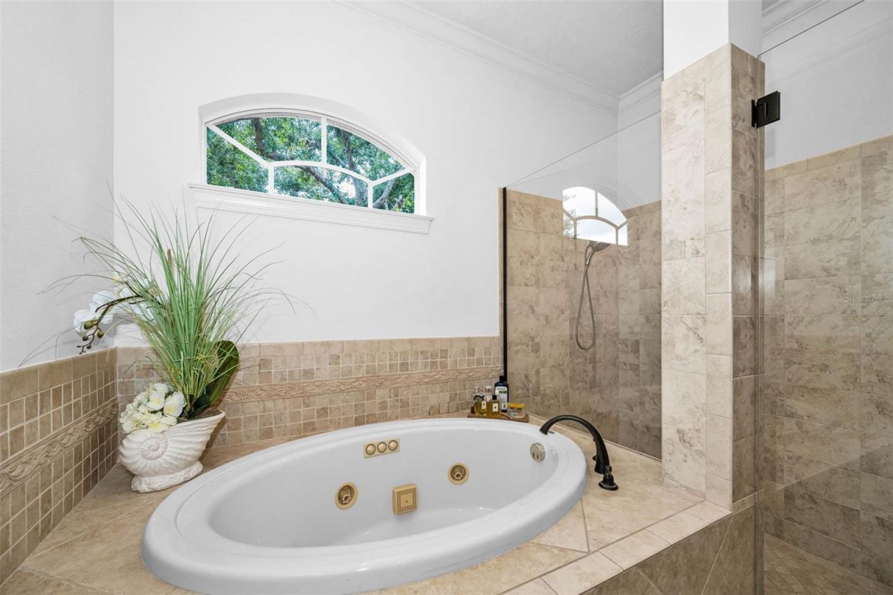 1246 Tuscany Drive, Trinity, FL 34655 Photo