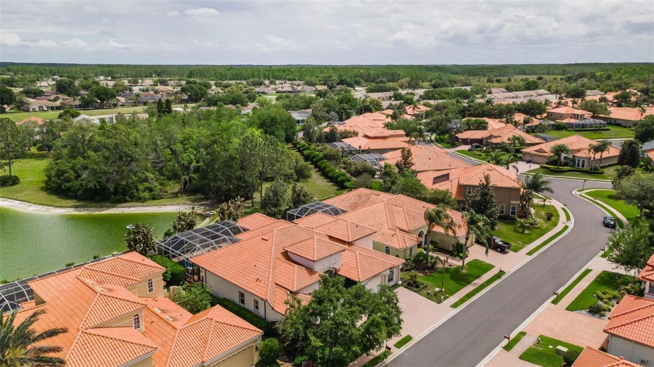 1246 Tuscany Drive, Trinity, FL 34655 Photo