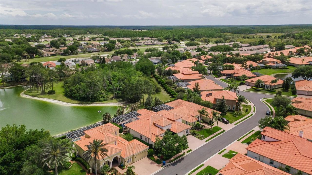 1246 Tuscany Drive, Trinity, FL 34655 Photo