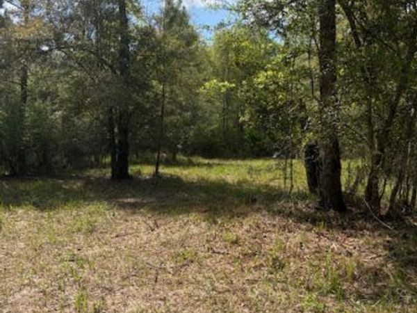 0 Iron Bridge Road, Marianna, FL 32448