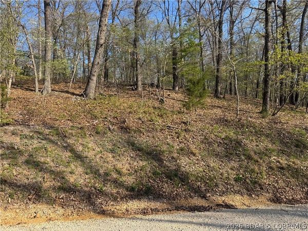 LOT 166 Albany Drive, Lake Ozark, MO 65049