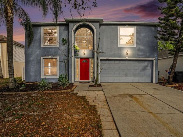 10317 FROG POND DRIVE , RIVERVIEW, FL 33569