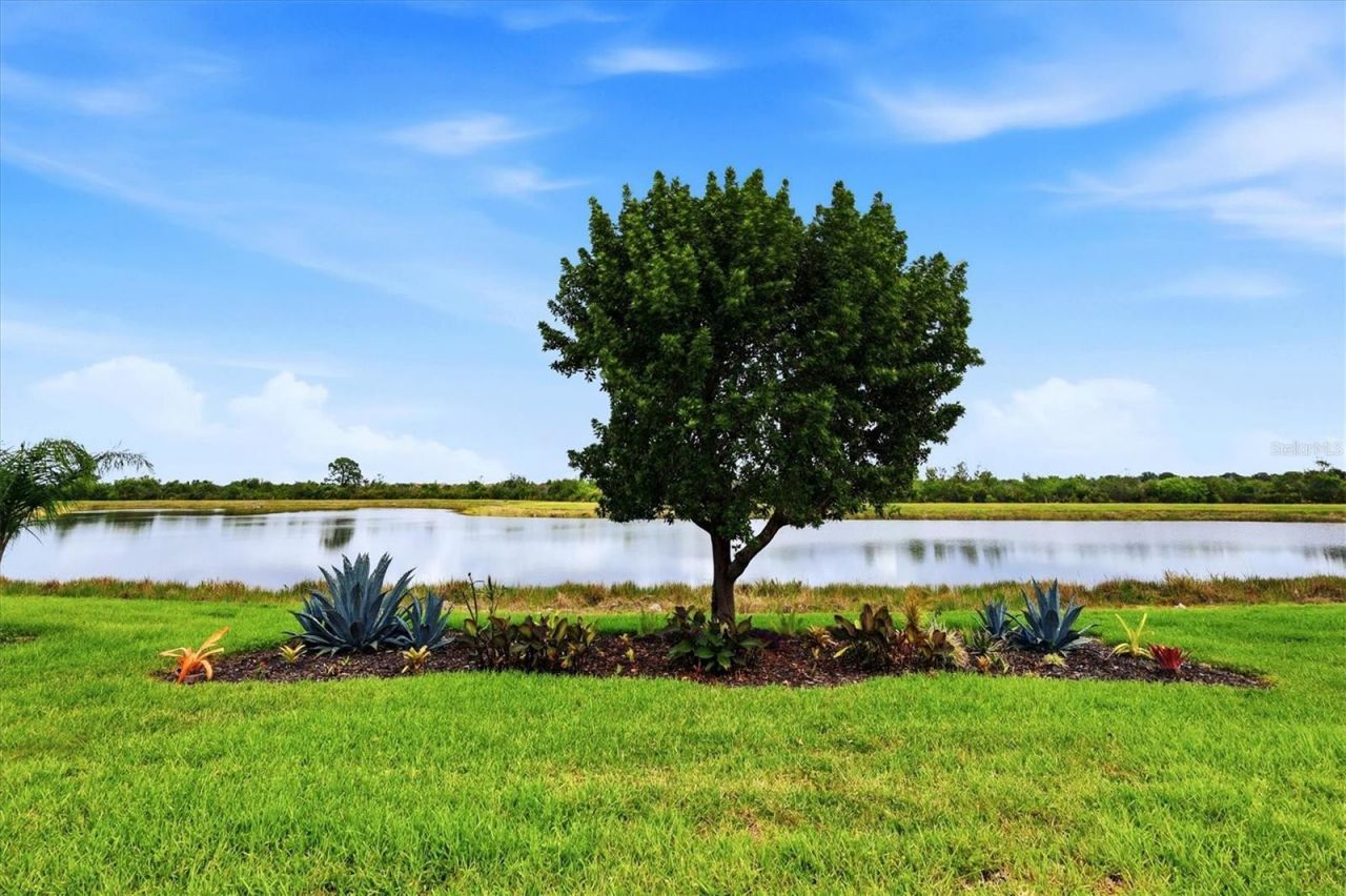 10474 Medjool Drive , Venice, FL 34293 Photo