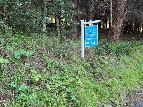 767 Spring, Unincorporated, CA 95589