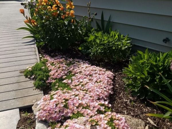 12 Orchard, Farmington, CT 06032