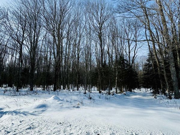 N2267 Coaster Road, Limestone Twp, MI 49891