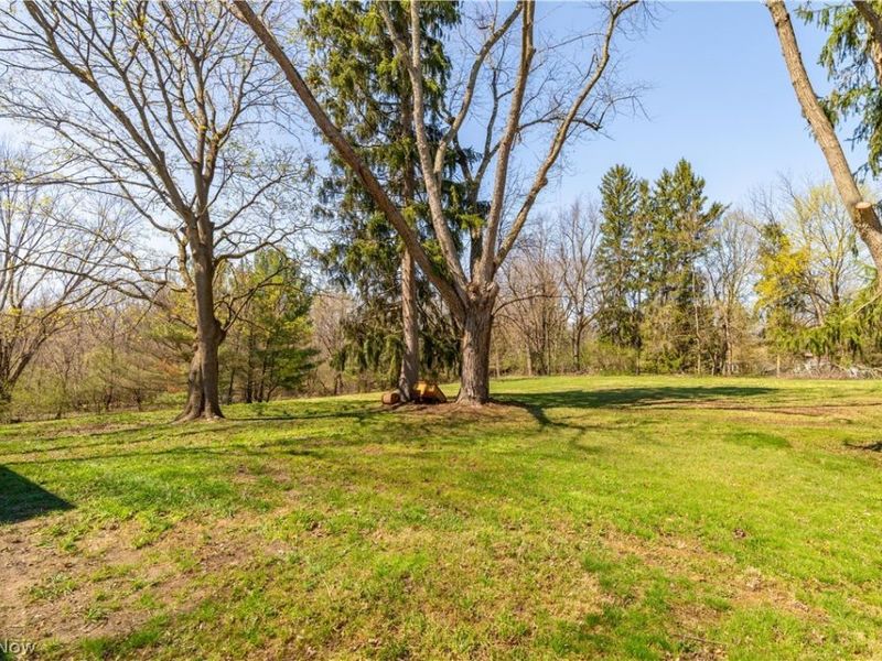 1521 Edgemoor Avenue, Akron, OH 44313 Photo 20