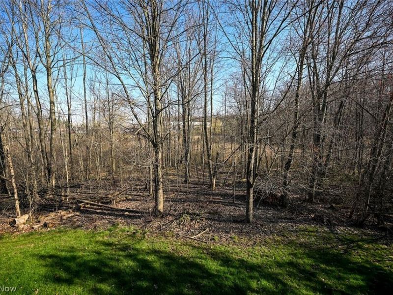 865 Holborn Road, Streetsboro, OH 44241 Photo 29