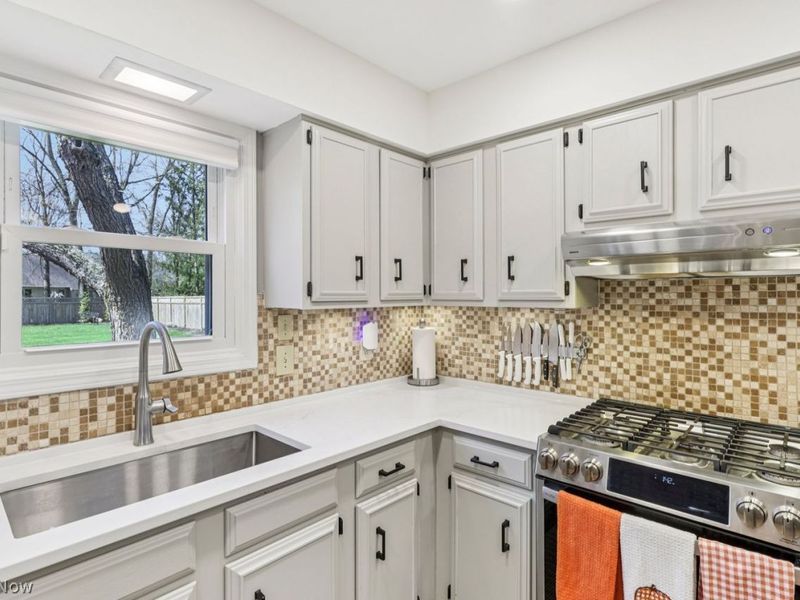 264 Woodstock Drive, Avon Lake, OH 44012 Photo 12