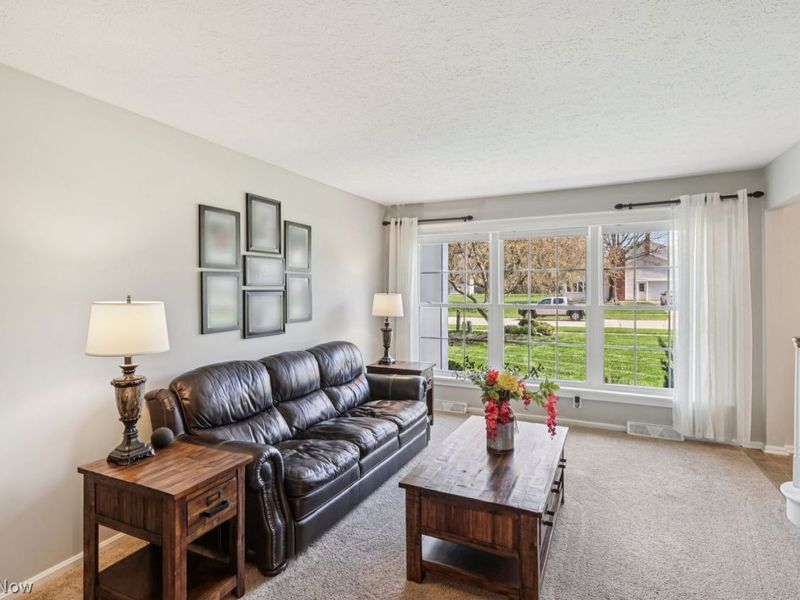 264 Woodstock Drive, Avon Lake, OH 44012 Photo 7