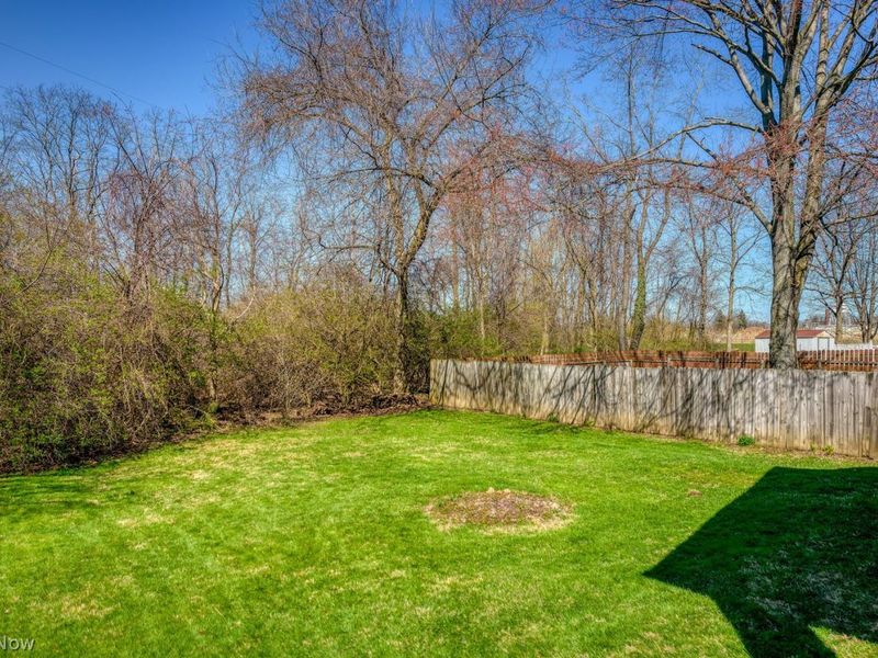 264 1st Street, Wadsworth, OH 44281 Photo 42