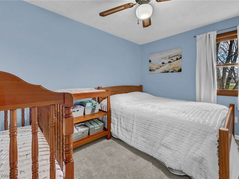 259 E Ohio Avenue, Rittman, OH 44270 Photo 29