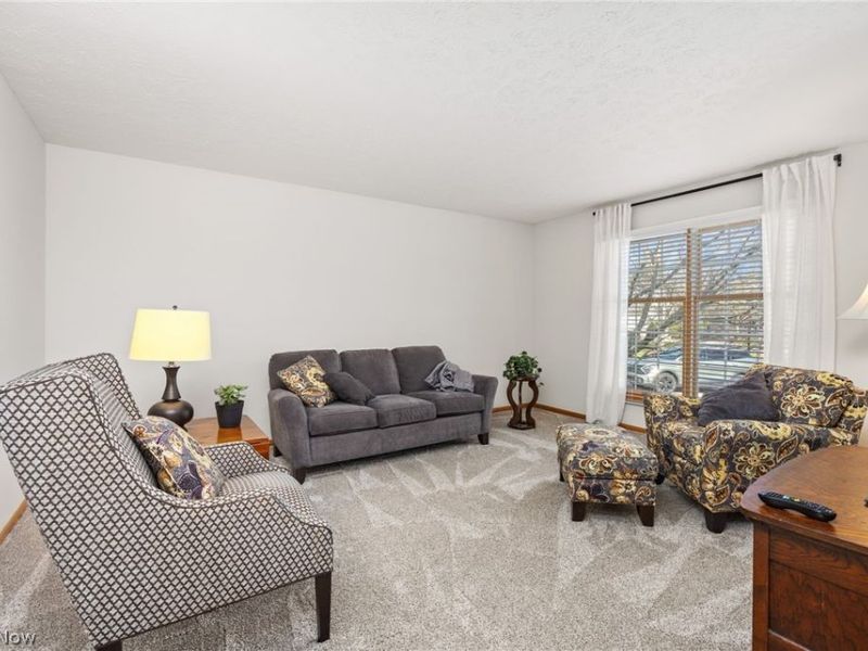 1055 Marilyn Way, Medina, OH 44256 Photo 6