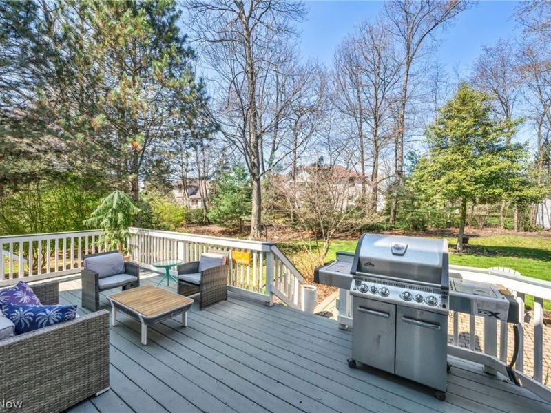 6928 Chairmans Court, Concord Township, OH 44060 Photo 40