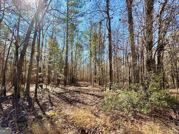 1 Cross Cedar Road, Wrightsville, GA 31096