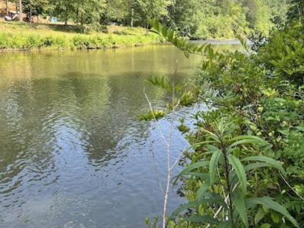 0 Old H K Wagon Rd, Cleveland, GA 30528