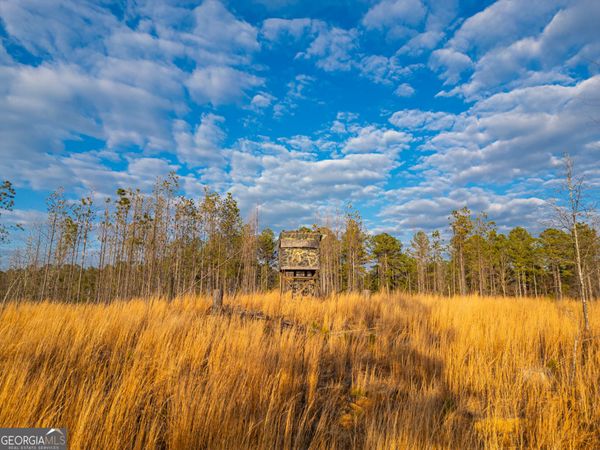 1 Smith Rocky Branch Road, Carlton, GA 30627