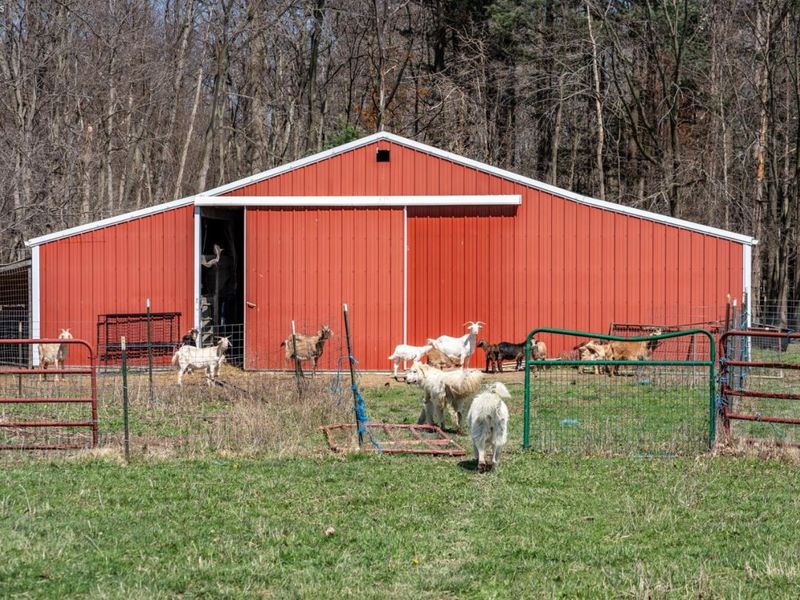 240 Peru Olena W Road, Norwalk, OH 44857 Photo 85