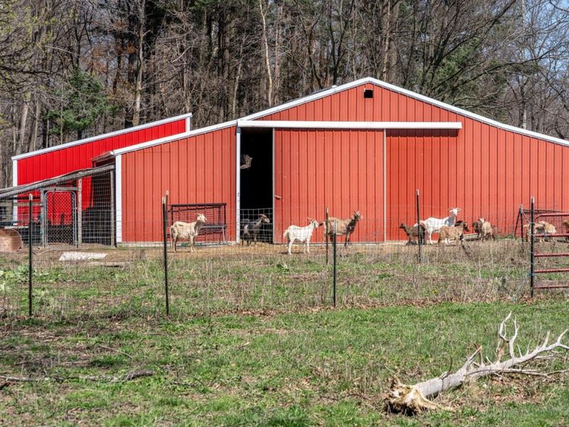 240 Peru Olena W Road, Norwalk, OH 44857 Photo 88