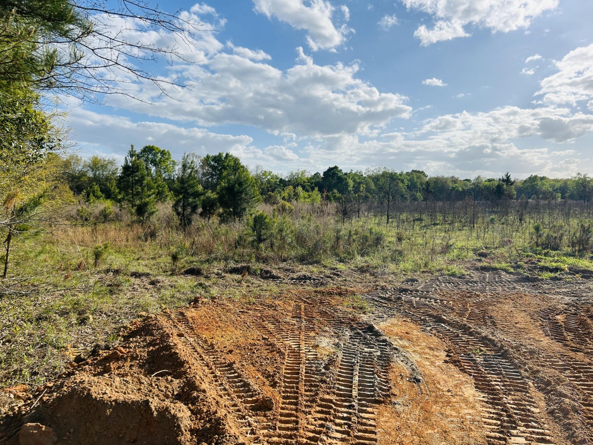 3058 Surrey Race Road Photo 16