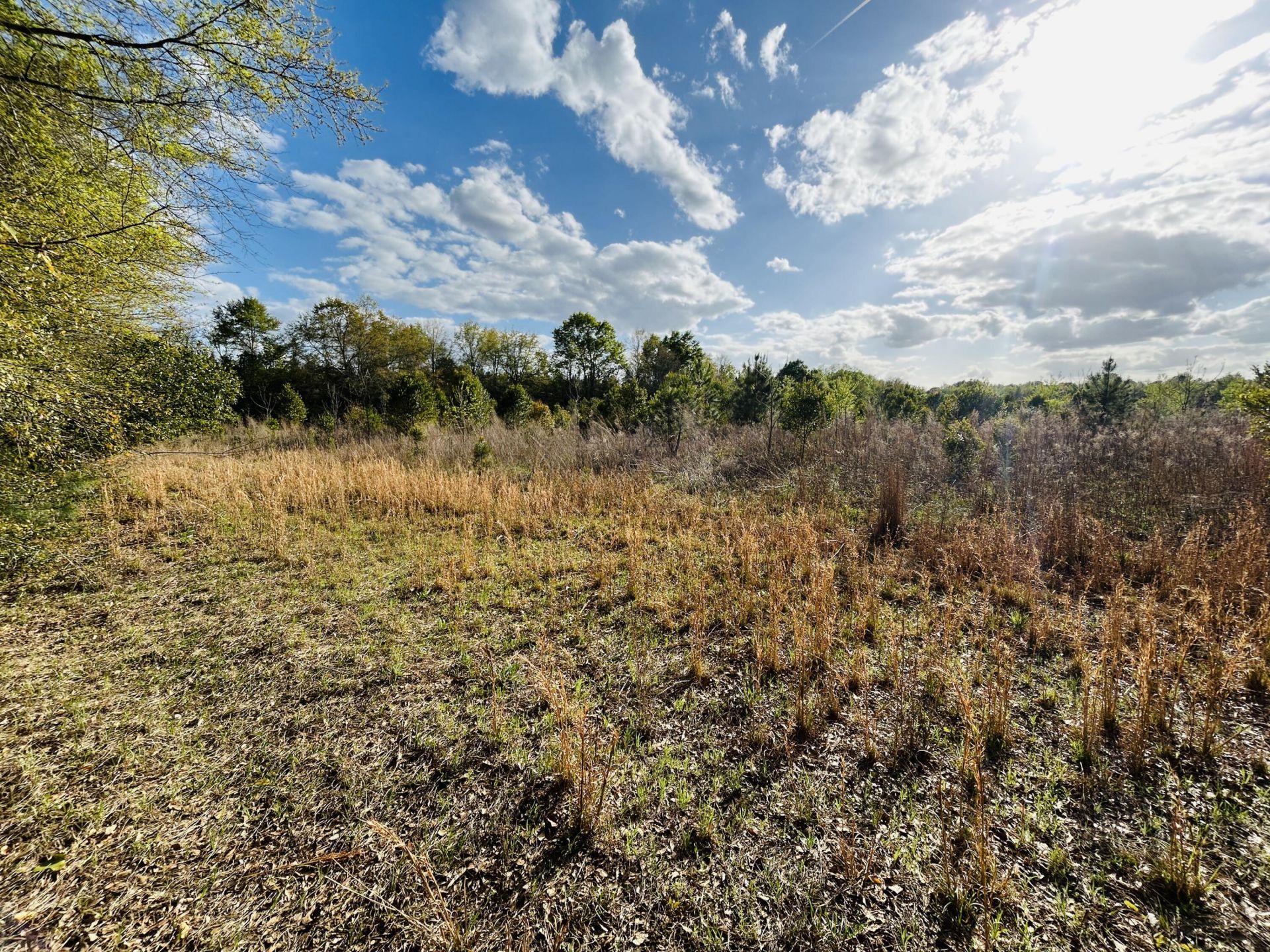 3058 Surrey Race Road Photo 20