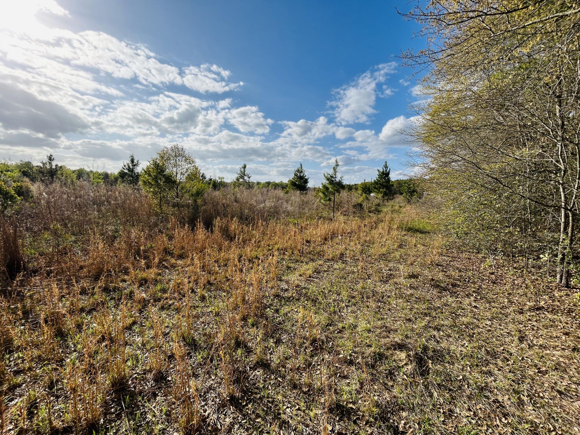 3058 Surrey Race Road Photo 21