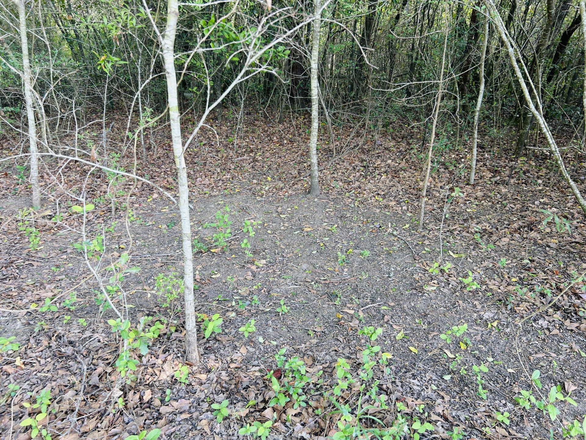 3058 Surrey Race Road Photo 23